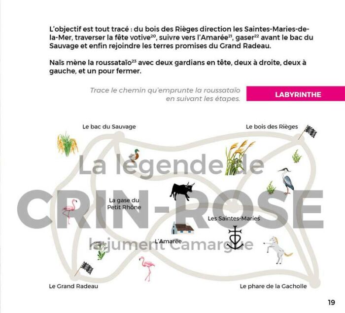 Crin-Rose la jument camargue p19